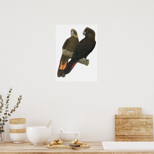 Glossy Black Cockatoo Pair Poster (Küche)