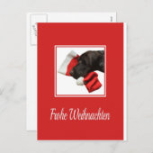 Glossy Grizzly Christmas Frohe weihnachten (Vorne/Hinten)