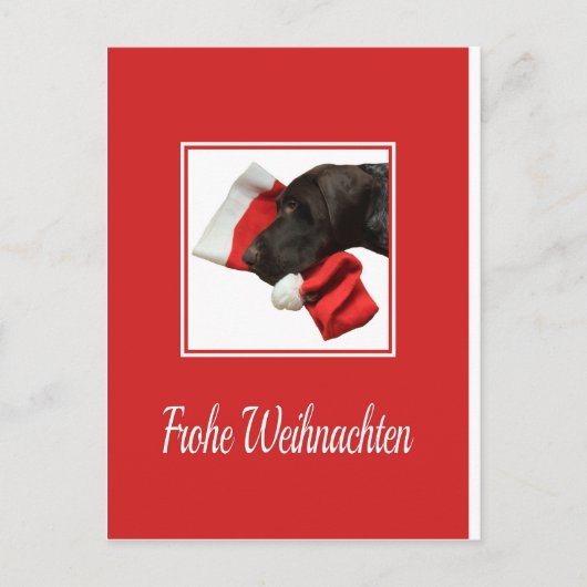 Glossy Grizzly Christmas Frohe weihnachten (Vorderseite)