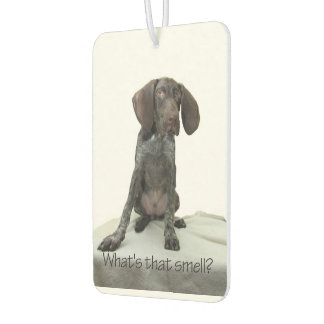 Glossy Grizzly, was riecht das? Autolufterfrischer