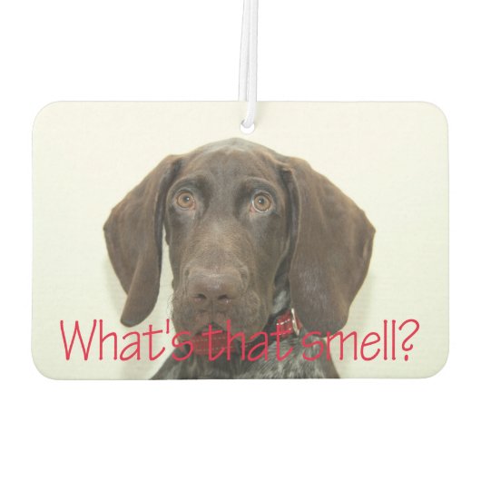 Glossy Grizzly, wie riecht das? Autolufterfrischer (Rückseite)