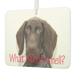 Glossy Grizzly, wie riecht das? Autolufterfrischer