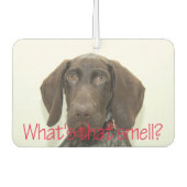 Glossy Grizzly, wie riecht das? Autolufterfrischer (Vorderseite)