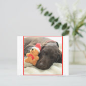 Glossy Grizzy Christmas Pointer Feiertagspostkarte (Stehend Vorderseite)
