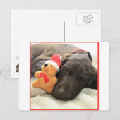 Glossy Grizzy Christmas Pointer Feiertagspostkarte (Vorne/Hinten)