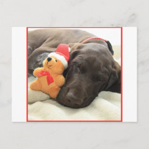 Glossy Grizzy Christmas Pointer Feiertagspostkarte