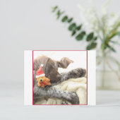 Glossy Grizzy Christmas Pointer Feiertagspostkarte (Stehend Vorderseite)