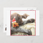 Glossy Grizzy Christmas Pointer Feiertagspostkarte (Vorne/Hinten)