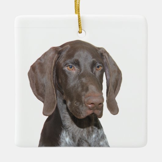 Glossy Grizzy Weihnachtsdekoration Keramikornament (Vorderseite)