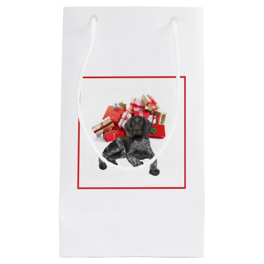 Glossy Grizzy Weihnachtsgeschenk Kleine Geschenktüte (Vorderseite)
