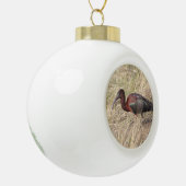 Glossy Ibis Bird Keramik Ball Weihnachtsschmuck Keramik Kugel-Ornament (Links)