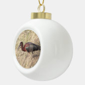 Glossy Ibis Bird Keramik Ball Weihnachtsschmuck Keramik Kugel-Ornament (Rechts)
