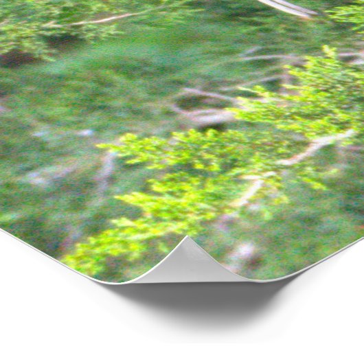 Glossy Ibis Bird Poster (Ecke)