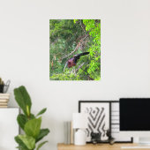 Glossy Ibis Bird Poster (Heimbüro)