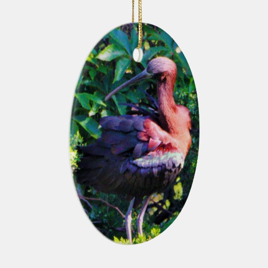 Glossy Ibis Keramik Ornament (Rechts)