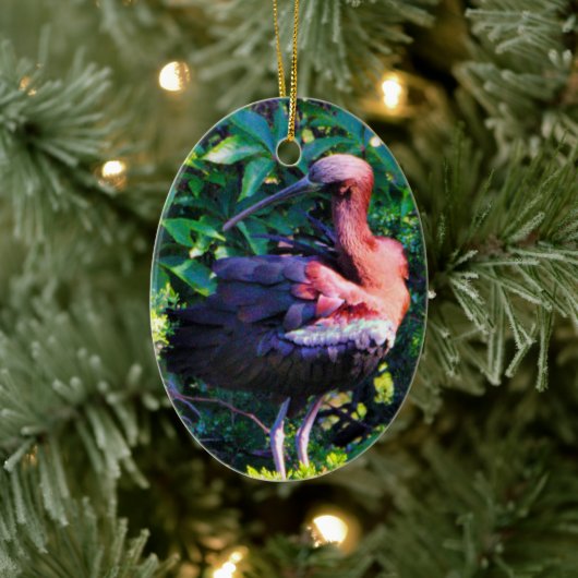 Glossy Ibis Keramik Ornament (Baum)