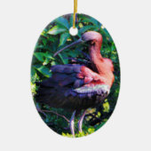 Glossy Ibis Keramik Ornament (Vorne)