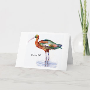 Glossy Ibis note card Karte