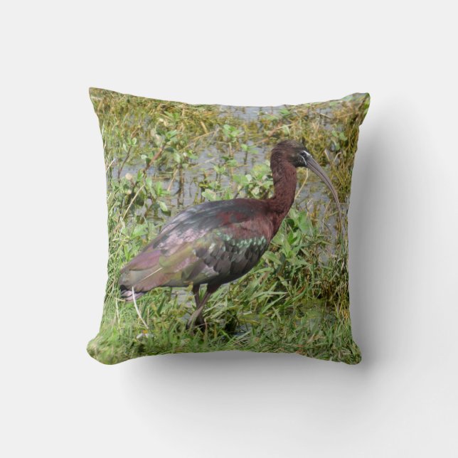 Glossy Ibis Pillow Kissen (Vorderseite)