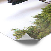 Glossy Ibis Poster (Ecke)