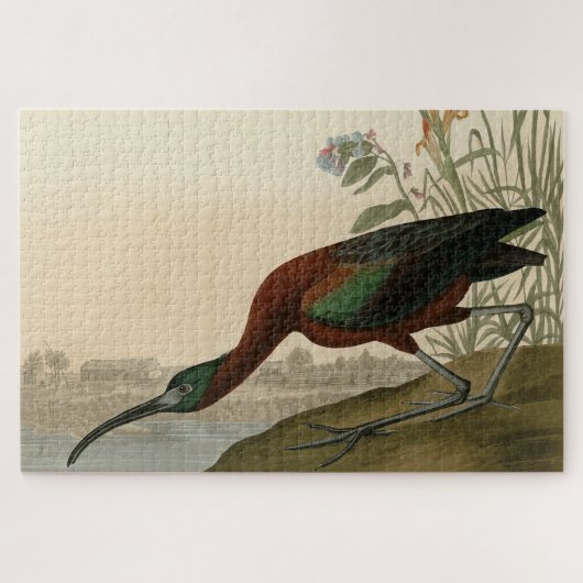 Glossy Ibis - von Audubons Vögeln Amerikas Puzzle (Horizontal)