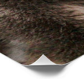 Glossy Poster (Ecke)