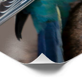 Glossy Poster Liebe Schwarzer Farbtext Vogelbild (Ecke)