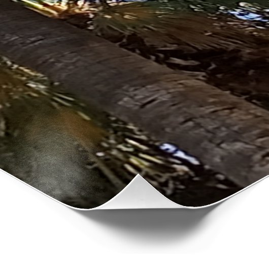 Glossy Poster Palm Trees (Ecke)