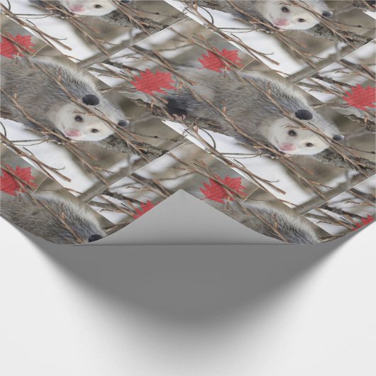 Glossy Wrapping Paper Opossum Nature Geschenkpapier (Ecke)