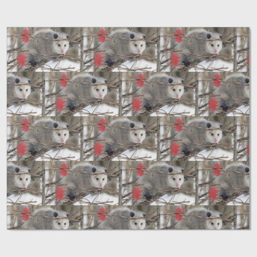 Glossy Wrapping Paper Opossum Nature Geschenkpapier (Flach)