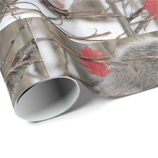 Glossy Wrapping Paper Opossum Nature Geschenkpapier (Rolleneckpunkt)