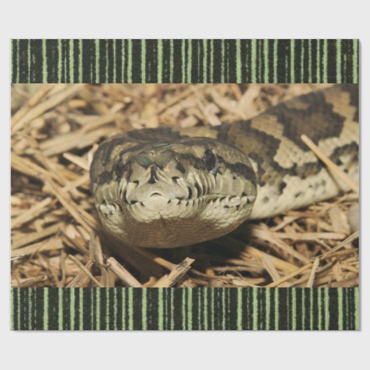 Glossy Wrapping Paper Schlange Geschenkpapier (Flach)