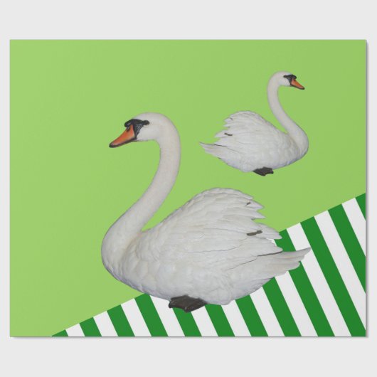 Glossy Wrapping Paper, Swan Green Strip Geschenkpapier (Flach)