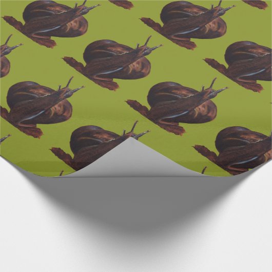 Glossy Wrapping Paper Zeichnend Schnecke, 30 x 2 f Geschenkpapier (Ecke)