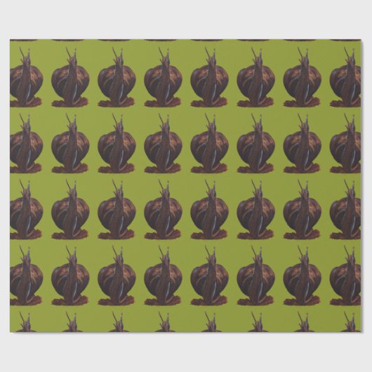 Glossy Wrapping Paper Zeichnend Schnecke, 30 x 2 f Geschenkpapier (Flach)