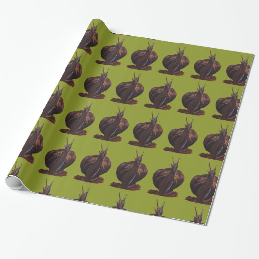 Glossy Wrapping Paper Zeichnend Schnecke, 30 x 2 f Geschenkpapier (Ungerollt)