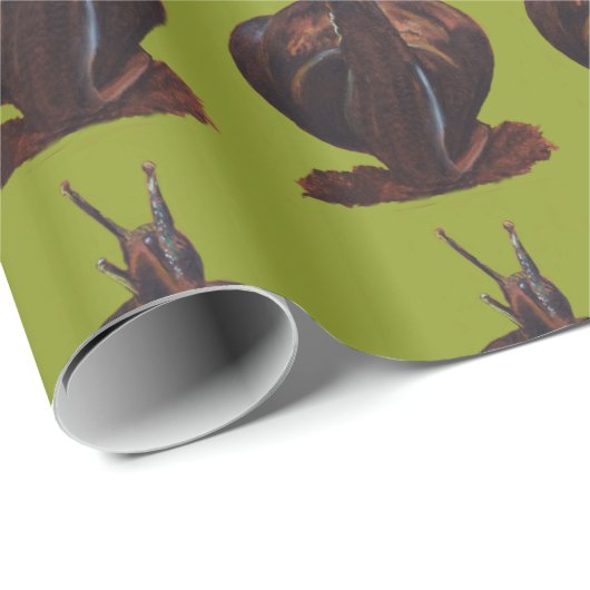 Glossy Wrapping Paper Zeichnend Schnecke, 30 x 2 f Geschenkpapier (Rolleneckpunkt)