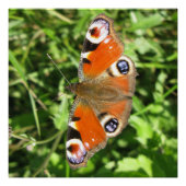 Glossyposter Poster (Vorderseite)