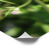 Glossyposter Poster (Ecke)