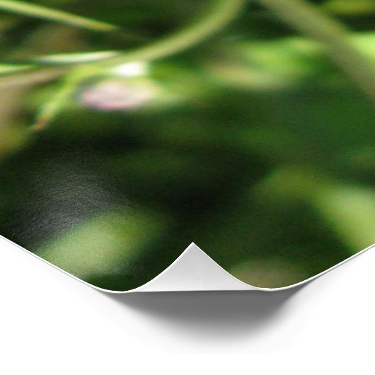 Glossyposter Poster (Ecke)