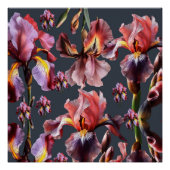 Glossyposter Poster (Vorderseite)