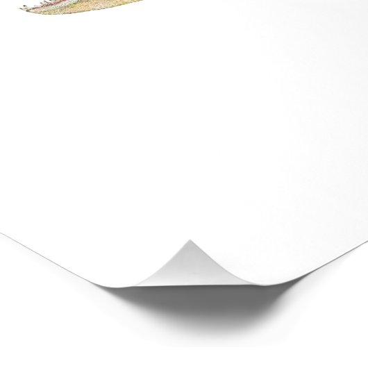 Glossyposter Poster (Ecke)