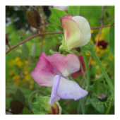 Glossyposter Poster (Vorderseite)