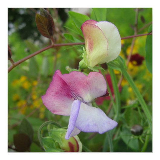 Glossyposter Poster (Vorderseite)