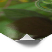 Glossyposter Poster (Ecke)