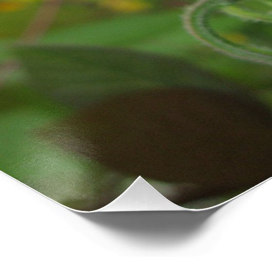 Glossyposter Poster (Ecke)