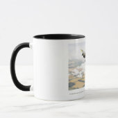 Gloster Meteor Tasse (Links)
