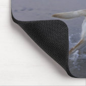 Gloucester, Massachusetts, USA Mousepad (Ecke)