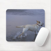 Gloucester, Massachusetts, USA Mousepad (Mit Mouse)