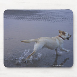 Gloucester, Massachusetts, USA Mousepad